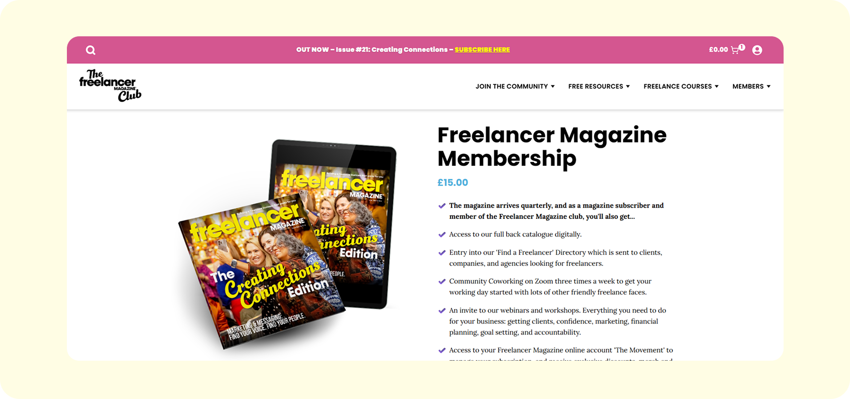 Unified storefront for every product type screen from the Freelancer Magazine Subbly storefront